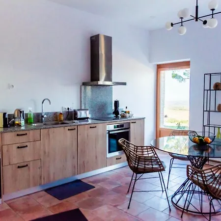 Chai Chateau Viticole Avec Piscine Dans Le Sud De La France * Bélesta