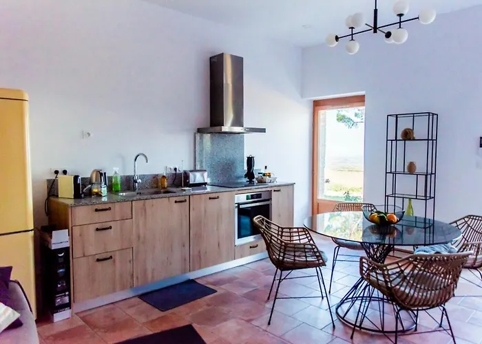 Chai Chateau Viticole Avec Piscine Dans Le Sud De La France * Bélesta